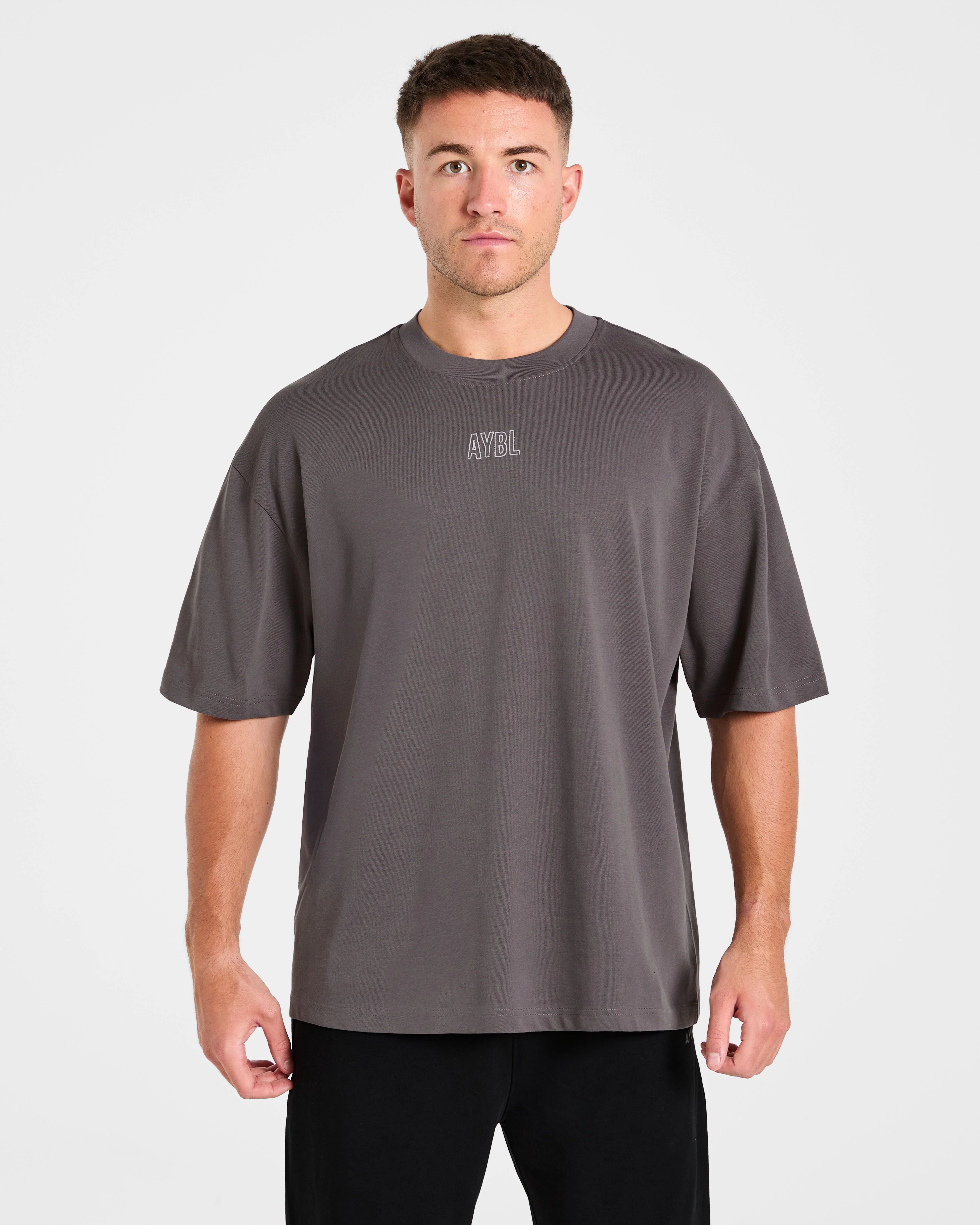 Doberman Strength Oversized T Shirt - Storm Grey - Image 2