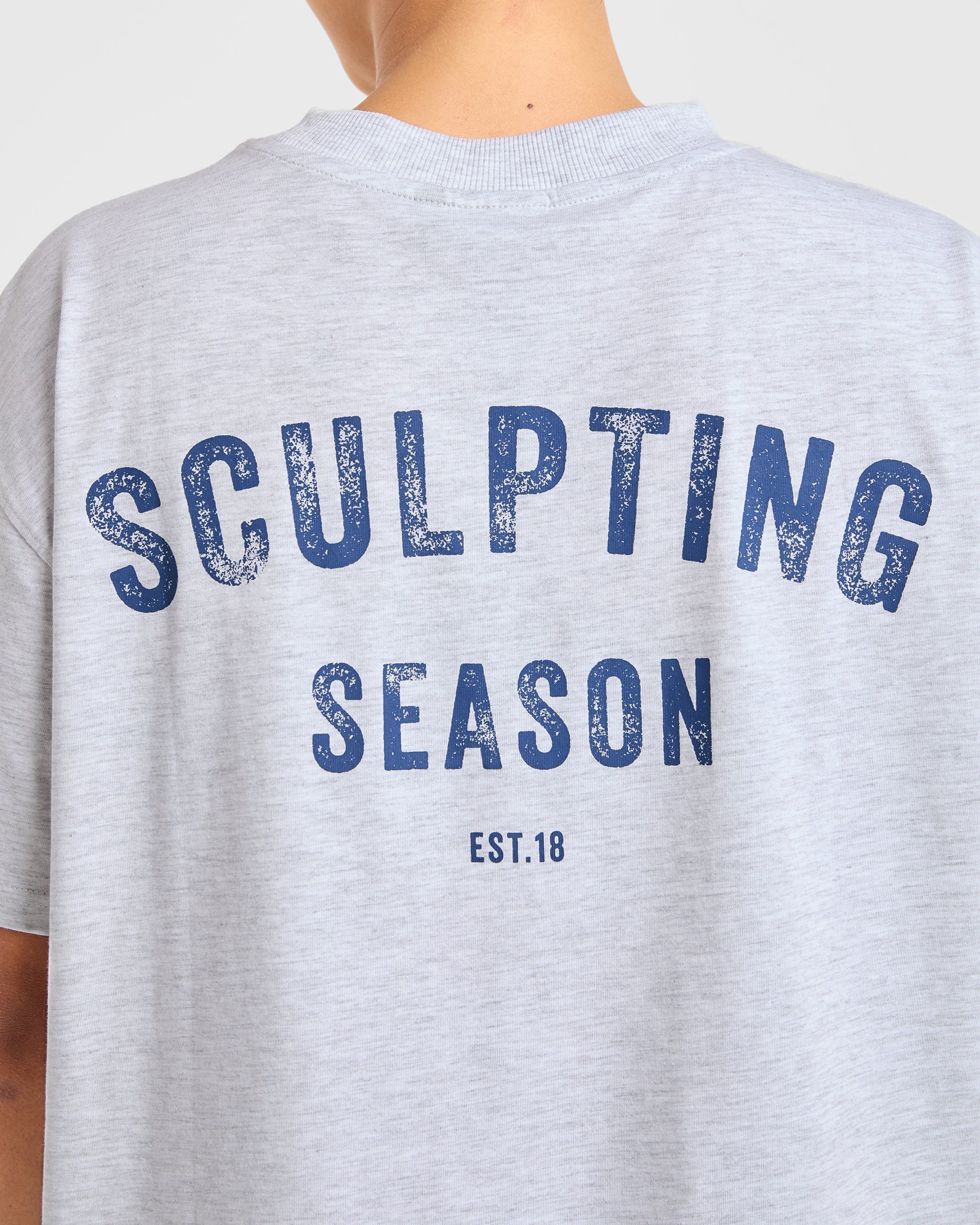 Sculpting Season Oversized T Shirt - Heather Grey/Navy - Image 6