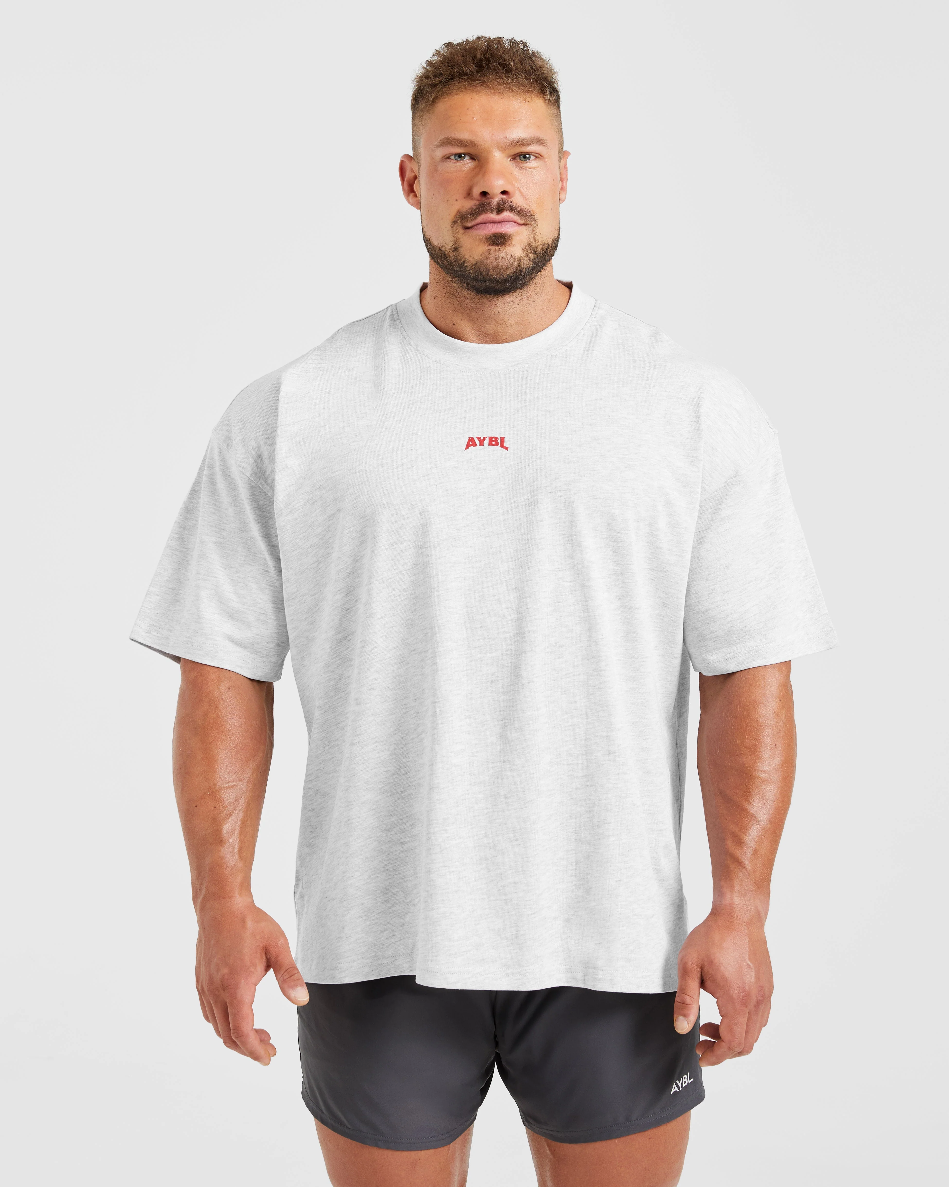 Wesley Vissers X Beyond Limits Oversized T Shirt - Grey Marl - Image 2
