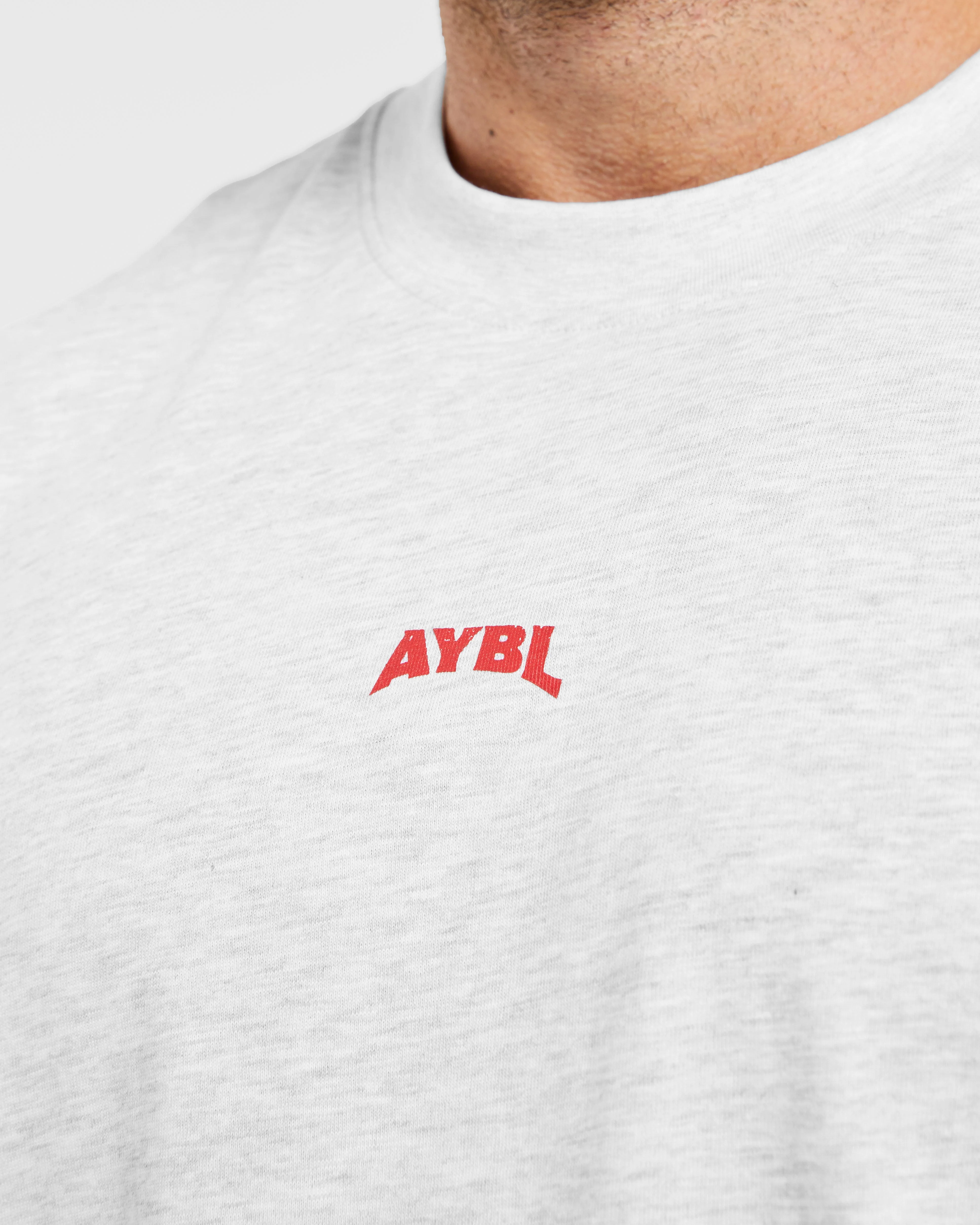Wesley Vissers X Beyond Limits Oversized T Shirt - Grey Marl - Image 6